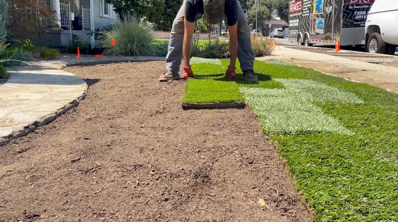 Sod installation and lawn renovation services in Concord, CA